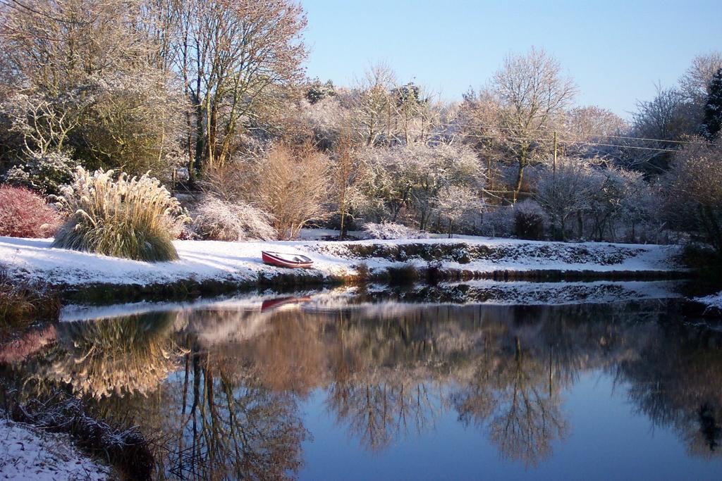 Polgwedhen Lodge Truro Oda fotoğraf