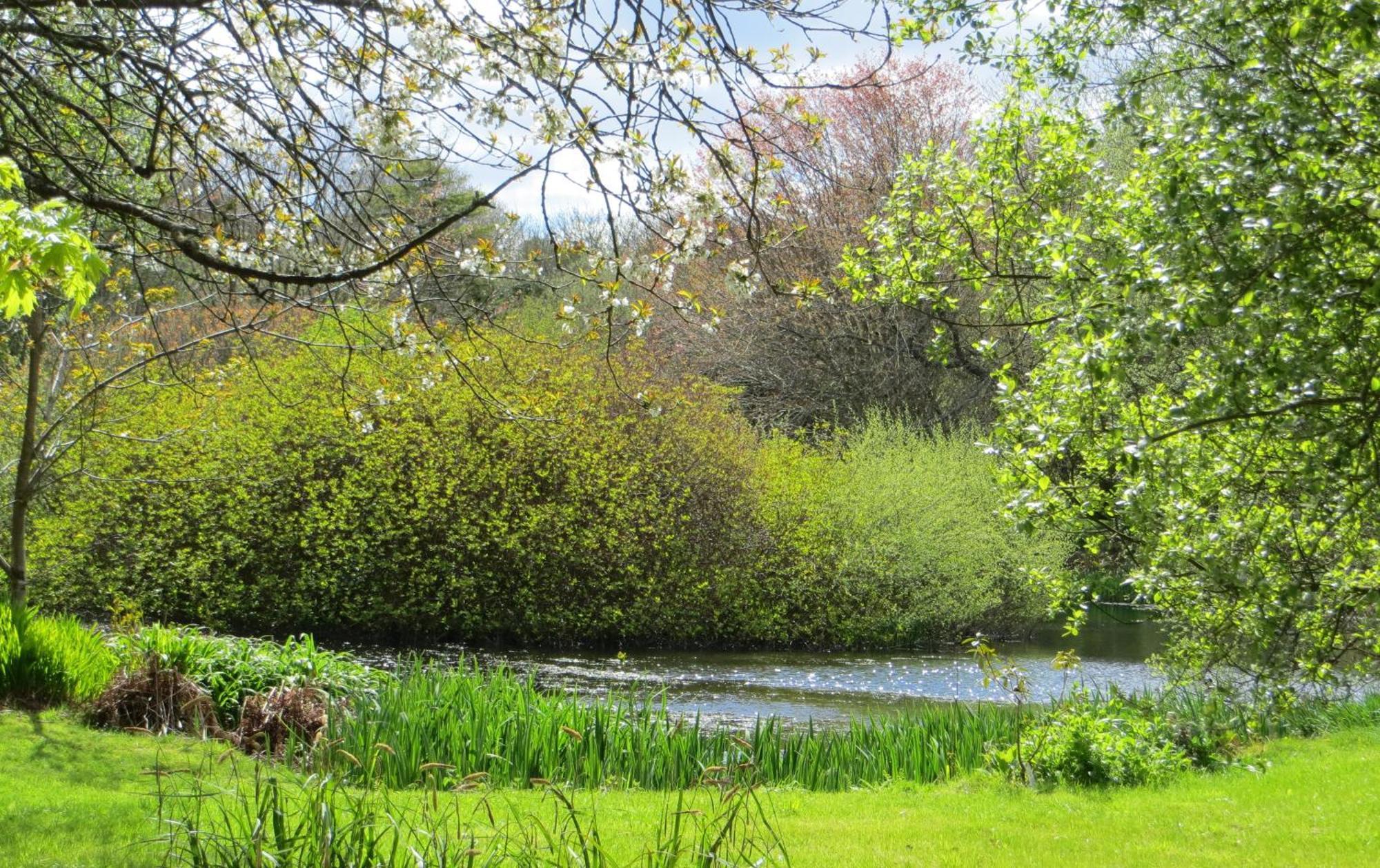 Polgwedhen Lodge Truro Dış mekan fotoğraf