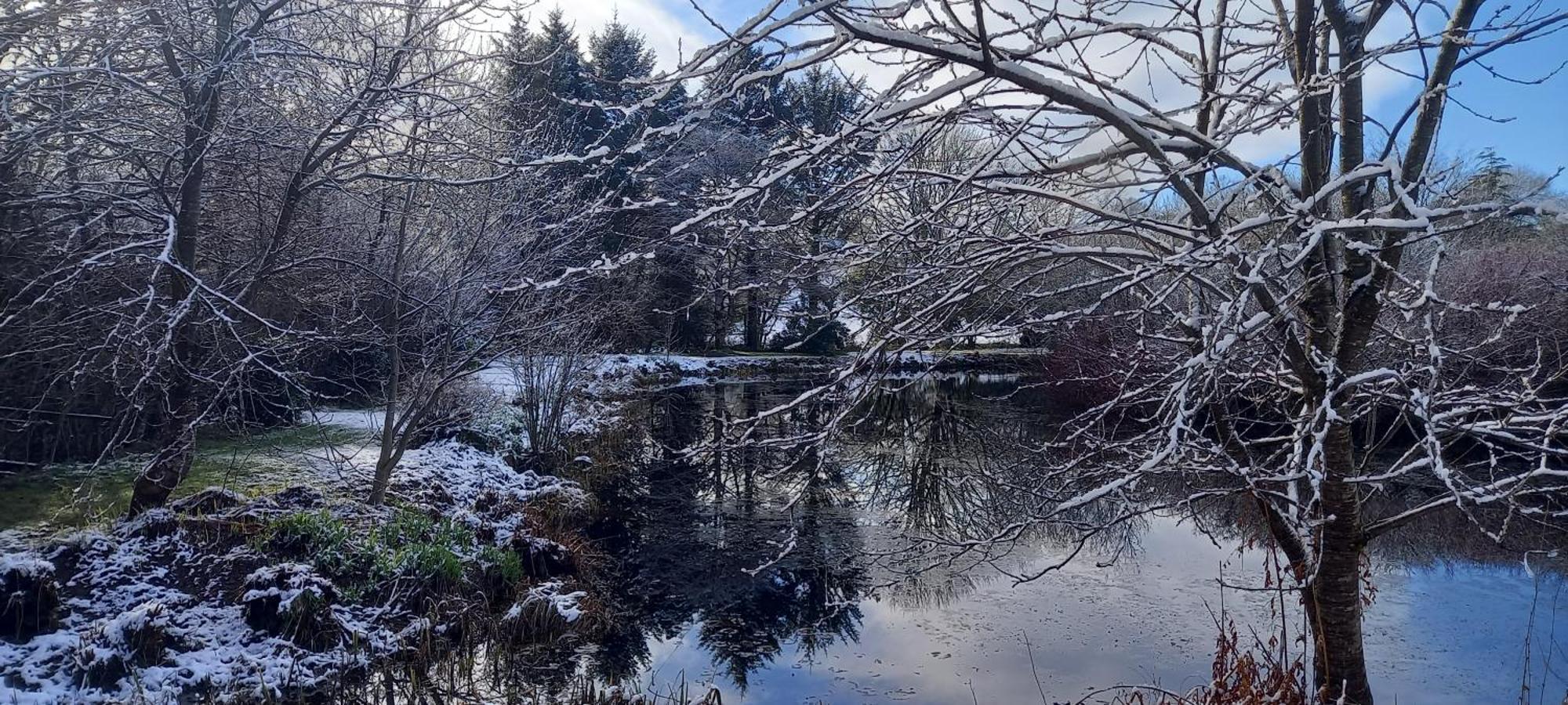 Polgwedhen Lodge Truro Dış mekan fotoğraf