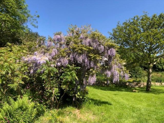Polgwedhen Lodge Truro Dış mekan fotoğraf