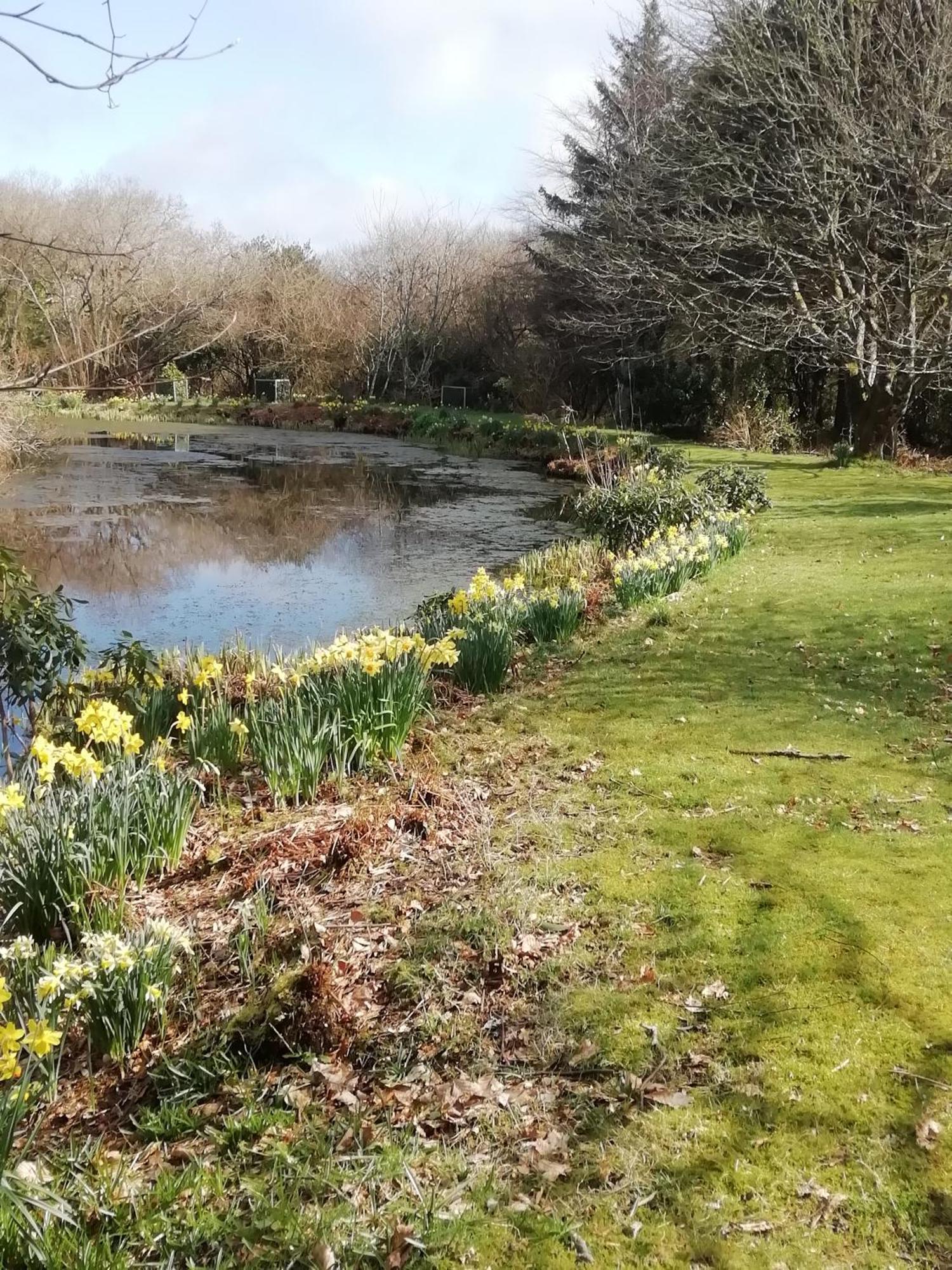 Polgwedhen Lodge Truro Dış mekan fotoğraf