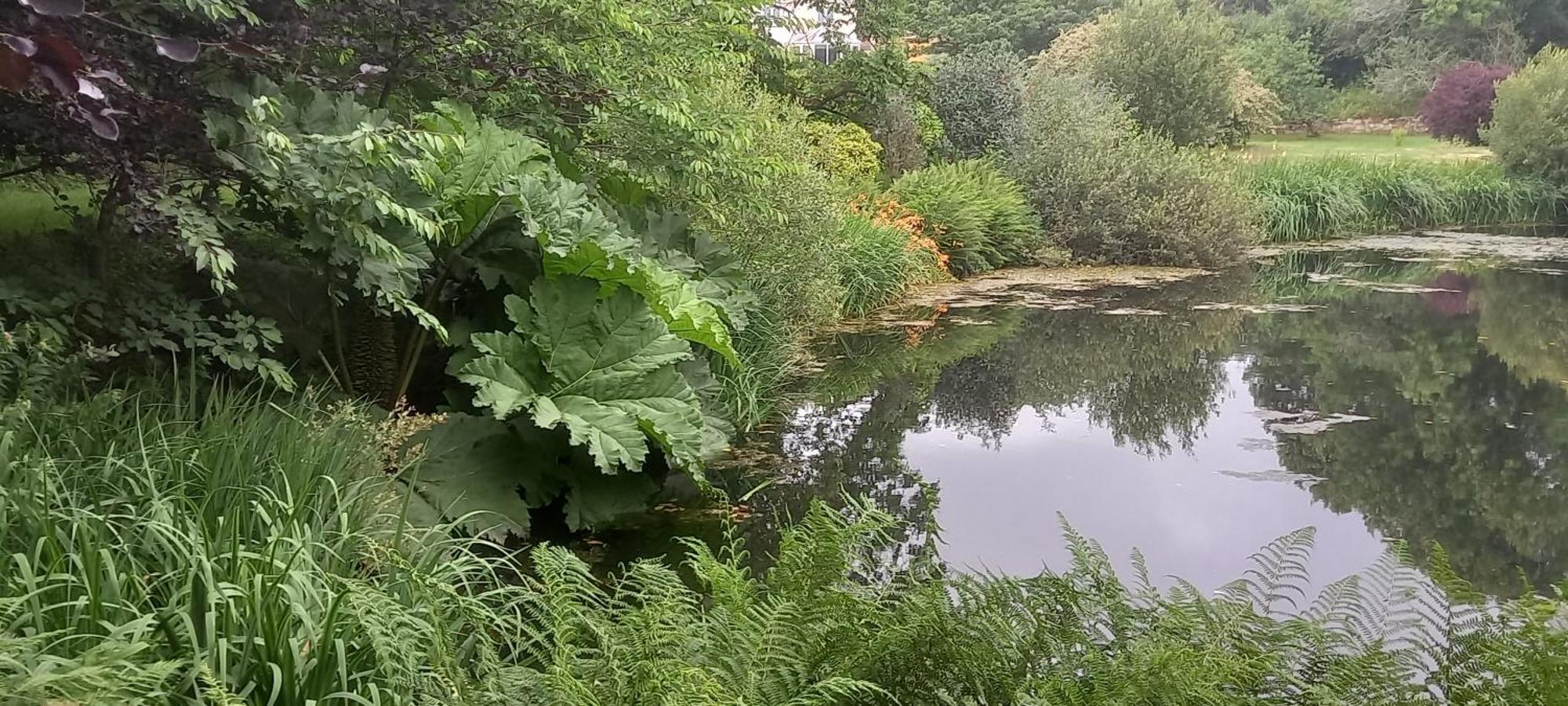 Polgwedhen Lodge Truro Dış mekan fotoğraf