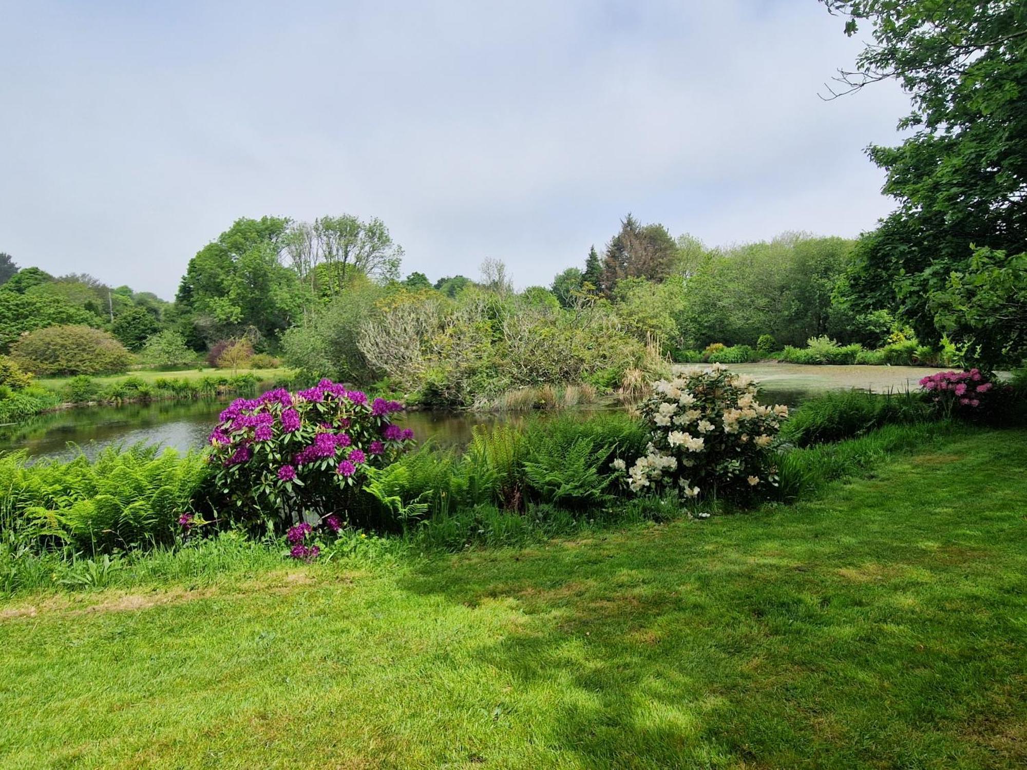 Polgwedhen Lodge Truro Dış mekan fotoğraf