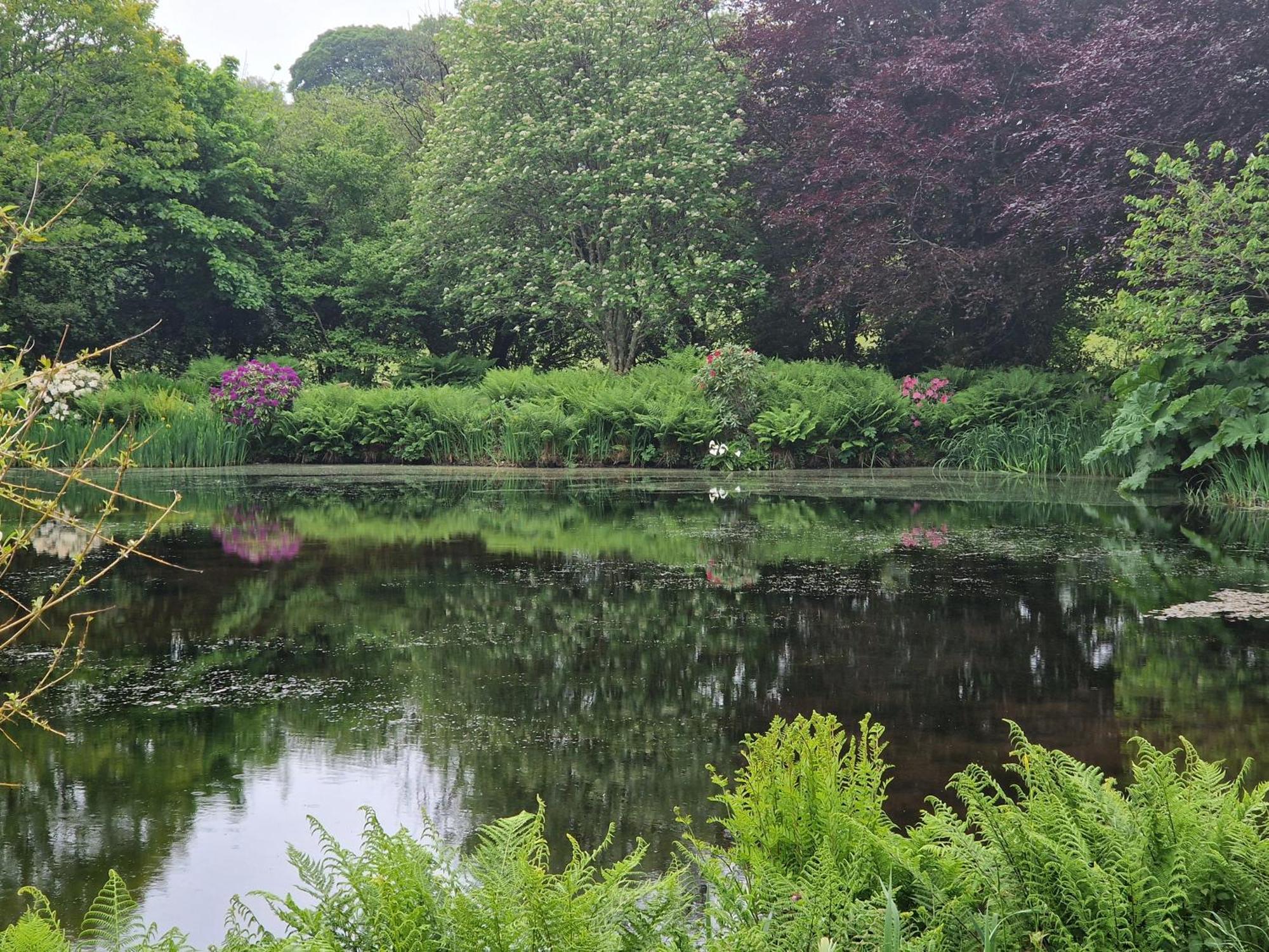 Polgwedhen Lodge Truro Dış mekan fotoğraf