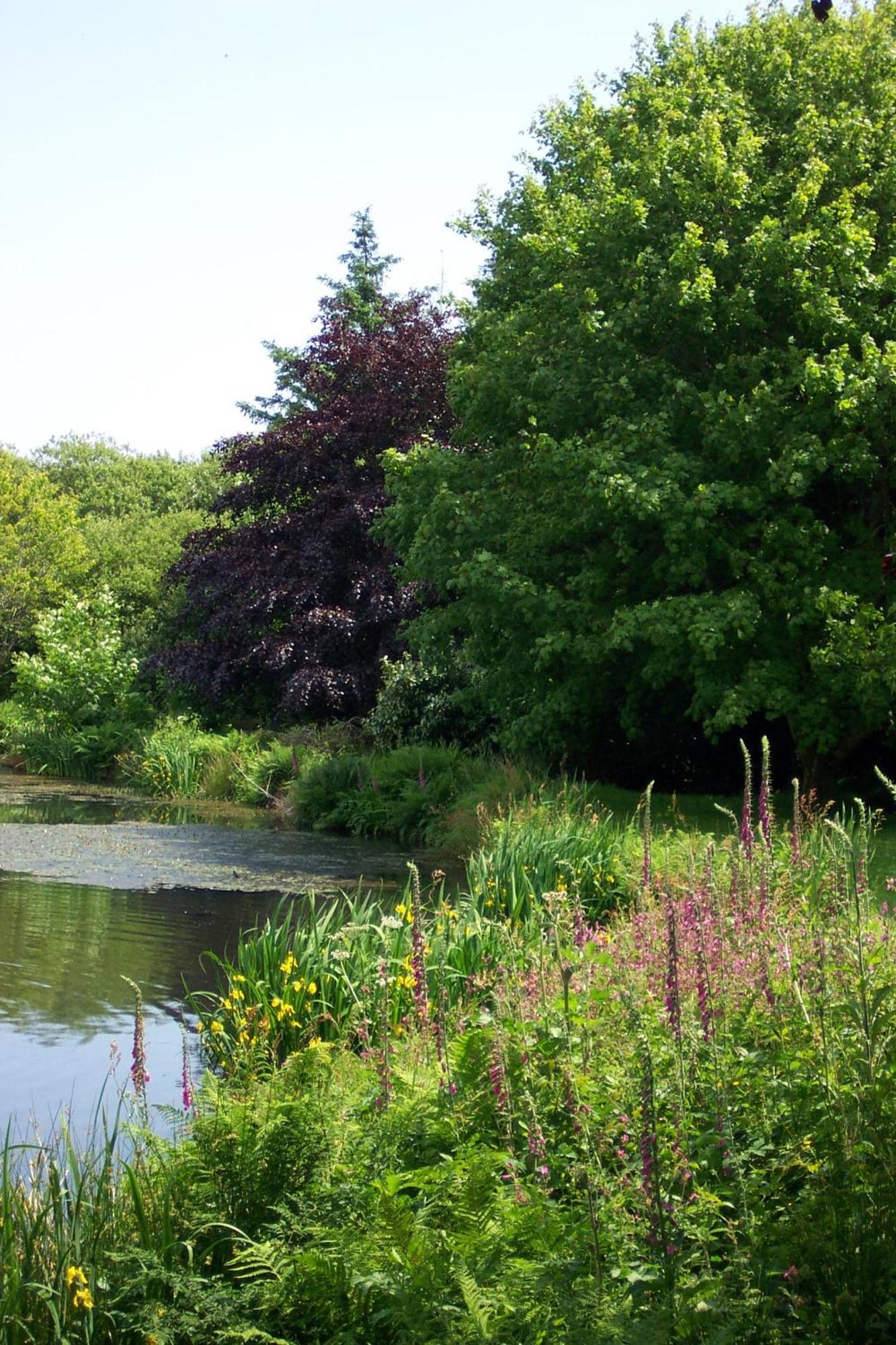 Polgwedhen Lodge Truro Dış mekan fotoğraf